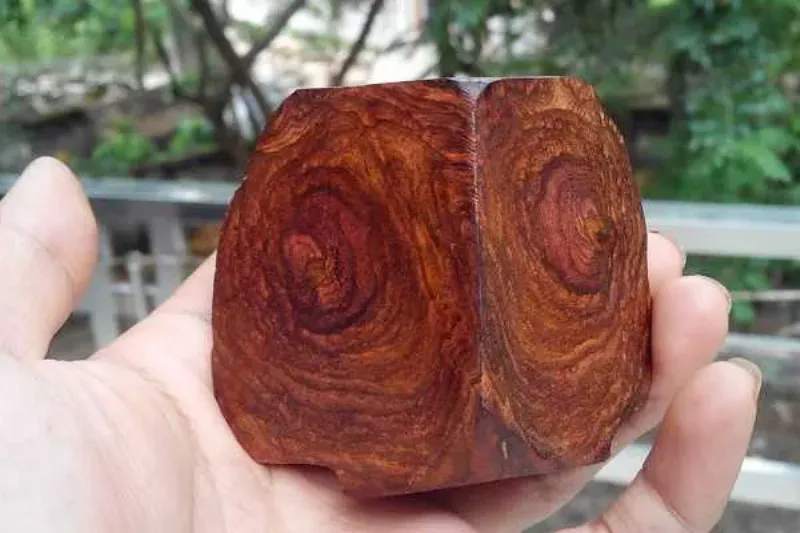 Hình ảnh các loại gỗ tự nhiên có màu đỏ hoặc đen đặc trưng